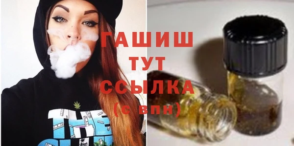 таблы Бородино