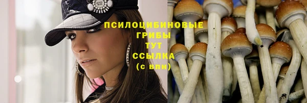 таблы Бородино