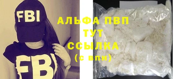 таблы Бородино