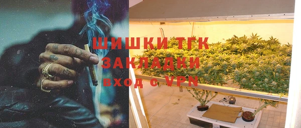таблы Бородино