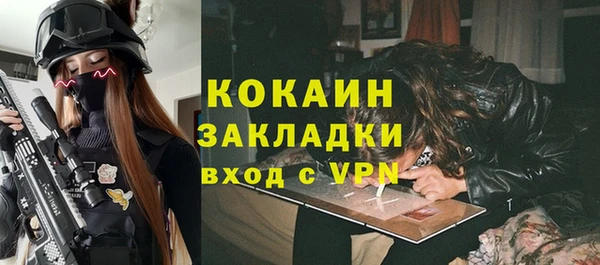 ешки Бронницы