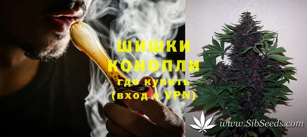 таблы Бородино