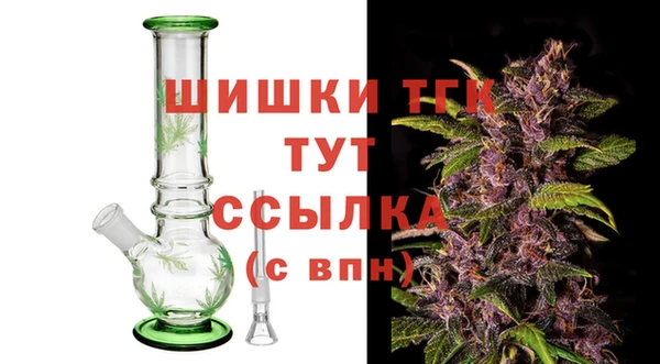 таблы Бородино