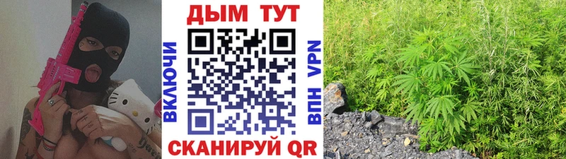 что такое   omg ТОР  Конопля VHQ  Кострома 